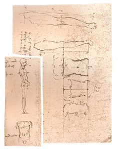 Zwei Zeichnungen zur Theorie der Proportionen der menschlichen Figur, ca. 1472-1519, 1883 von Leonardo da Vinci