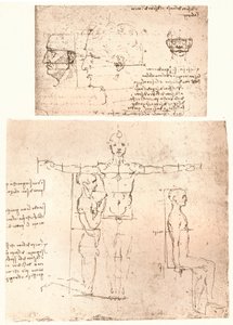 Zwei Zeichnungen zur Theorie der Proportionen der menschlichen Figur von Leonardo da Vinci