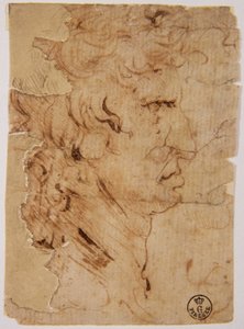 Unbekanntes Bild von Leonardo da Vinci