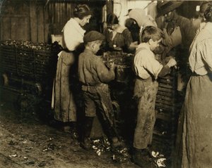 Der 10-jährige Jimmie, der seit 3 Jahren (6 Töpfe pro Tag) mit einem 11-jährigen Jungen, der 7 Töpfe schält, bei Varn und Platt Canning Co., Bluffton, South Carolina, 1913