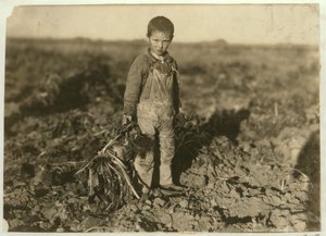 Die 6-jährige Jo zieht Zuckerrüben auf einer Farm bei Sterling, Colorado, 1915