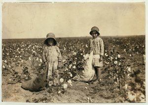 Jewel und Harold Walker, 6 und 5 Jahre alt, pflücken 20 bis 25 Pfund Baumwolle pro Tag in Geronimo, Comanche County, Oklahoma, 1916