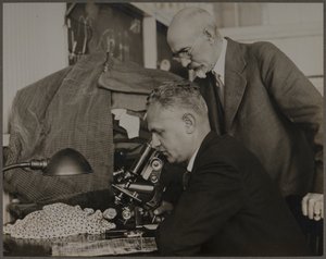  von Lewis Wickes Hine