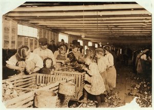 Rosy, 8 Jahre alt, arbeitet 14 Stunden am Tag als Austernöffnerin in der Dunbar Cannery, Louisiana, 1911 von Lewis Wickes Hine