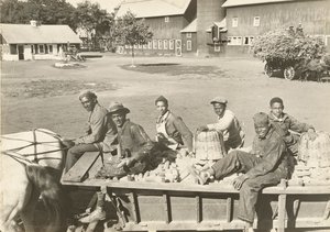 Ohne Titel von Lewis Wickes Hine