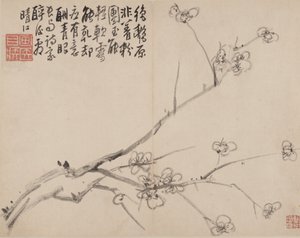 Album der blühenden Pflaume, 1742 von Li Fangying