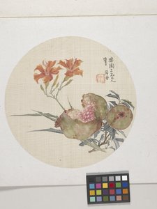 Granatapfel und Taglilie, ca. 1850-1904 (Tinte und Farben auf Papier) von Lian Ju