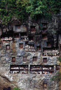 Begräbnisnischen mit Tau-Tau-Mortuarfiguren, Lemo-Dorf, Tana Toraja, Sulawesi von Unbekannt Unbekannt
