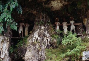 Grabnischen mit Tau Tau Totenfiguren, Dorf Marrante, Tana Toraja, Insel Sulawesi, Indonesien von Unbekannt Unbekannt