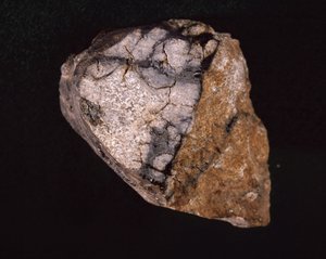 Meteorit gefunden in Indien im Jahr 1875 - Naturhistorisches Museum, Paris