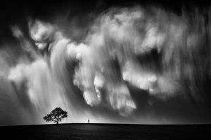 Dramatischer Himmel Einsamer Baum von Like He