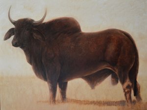 Brahmanenbulle von Lincoln Seligman
