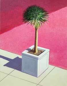 Kleine Palme, 1995 von Lincoln Seligman