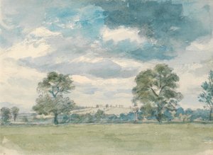 Sommerlandschaft