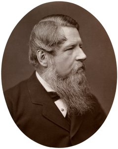 Der ehrenwerte Sir Stafford Henry Northcote, Bart, MP, Schatzkanzler, 1877 von Lock and Whitfield
