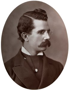 William Black, britischer Romanautor, 1877 von Lock and Whitfield