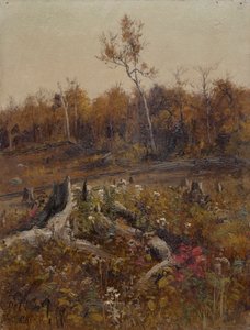 Landschaft