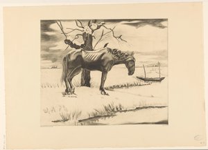 Pferd in einer verschneiten Landschaft