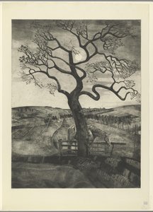 Pferd auf einer Weide bei Etikhove von Lodewijk Schelfhout (signed by artist)