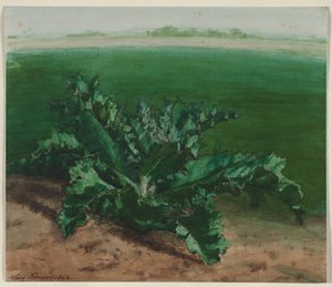 Studie einer Pflanze, möglicherweise Distel von Léon Bonvin