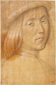 Kopf eines Jugendlichen von Lorenzo di Credi