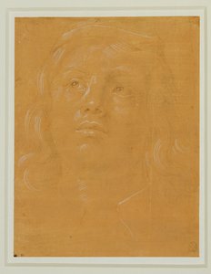 Porträt eines jungen Mannes, Frontalansicht, nach oben blickend von Lorenzo di Credi