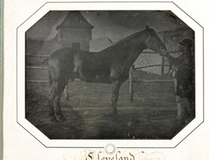 Cleveland, ca. 1842-1843
