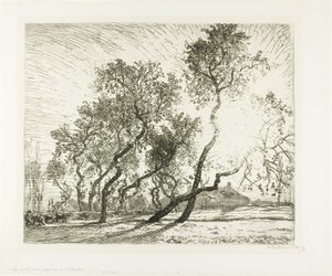 Bauernhof mit niederländischen Pappeln von Louis Auguste Lepère