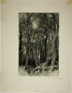 Winter: Bas-Bréau von Louis Auguste Lepère