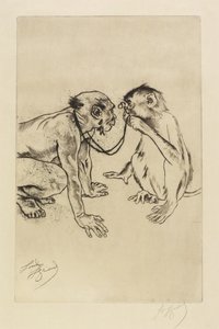 Vergleichende Anatomie von Louis Auguste Mathieu Legrand