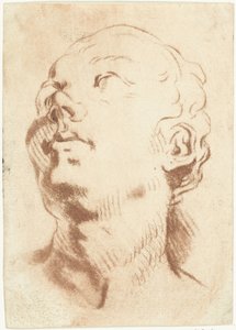 Studienblatt mit einem Kopf, der nach oben schaut von Louis Bernard Coclers