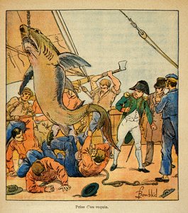 Illustration aus dem Buch „The Memorial of St. Helene“ von Graf Emmanuel de Las Cases: Kaiser Napoleon beobachtet den Fang eines Hais an Bord der Northumberland von Louis Charles Bombled