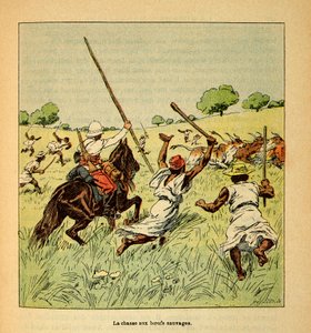Der Krieg in Madagaskar - Anekdotische Geschichte der französischen Expeditionen von 1885-1895 von Henri Galli dit Galllichet (1854-1922), illustriert von Louis Bombled (1862-1927): Die Jagd auf wilde Ochsen in Madagaskar im Jahr 1895, Privatbesitz