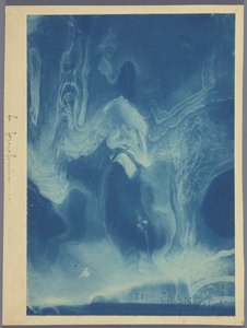 Le transformisme / Sic transit von Louis Ducos du Hauron (attributed to)