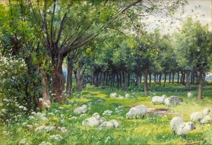 Schafe in einem Obstgarten im Frühling