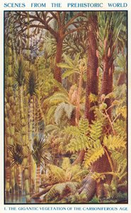 Die gigantische Vegetation des Karbonzeitalters von Louis Fairfax Muckley