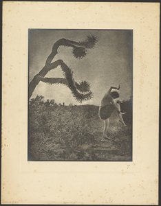 Apache-Tanz von Louis Fleckenstein