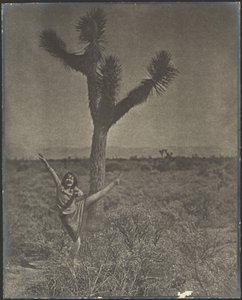Tänzerin am Joshua Tree