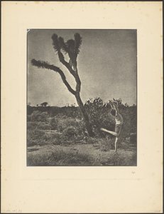 Tänzerin am Joshua Tree von Louis Fleckenstein