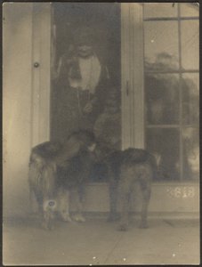 Hunde an der Tür