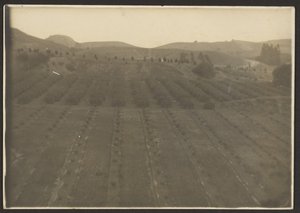 Bauernlandschaft von Louis Fleckenstein