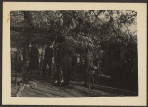 (Figuren im Wald)