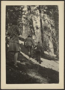 Figuren im Wald