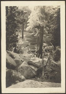 [Landschaft]