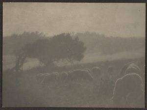 Landschaft mit Schafen von Louis Fleckenstein
