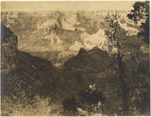 [Gebirgige Landschaft mit kahlem Baum]