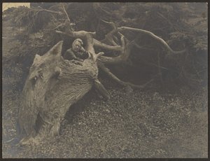 Frau Fleckenstein, die sich auf einen großen umgestürzten Baum lehnt von Louis Fleckenstein