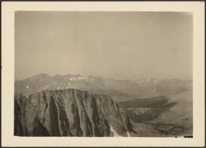 [Sequoia Park] von Louis Fleckenstein