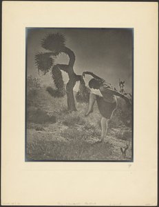 Der tölpelhafte Joshua von Louis Fleckenstein
