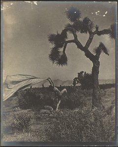 Der Wüstenwind von Louis Fleckenstein